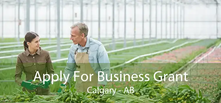 Apply For Business Grant Calgary - AB